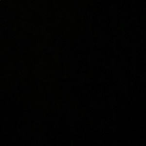 Meet your Posher, Deanna